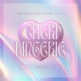 【おひとり様1個まで】特別価格!ランジェリーお任せ便