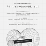 【おひとり様1個まで】特別価格!ランジェリーお任せ便