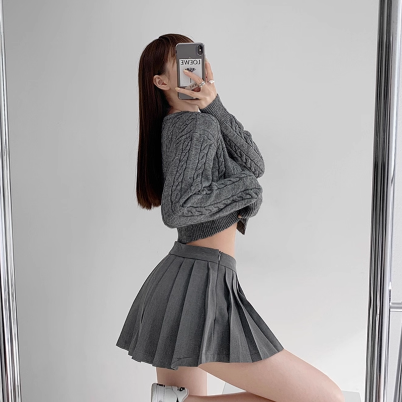 Structured pleats pants skirt